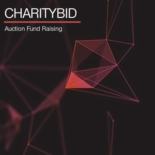 Charity Auctions - Software that makes it easy to raise money for a charity 1
